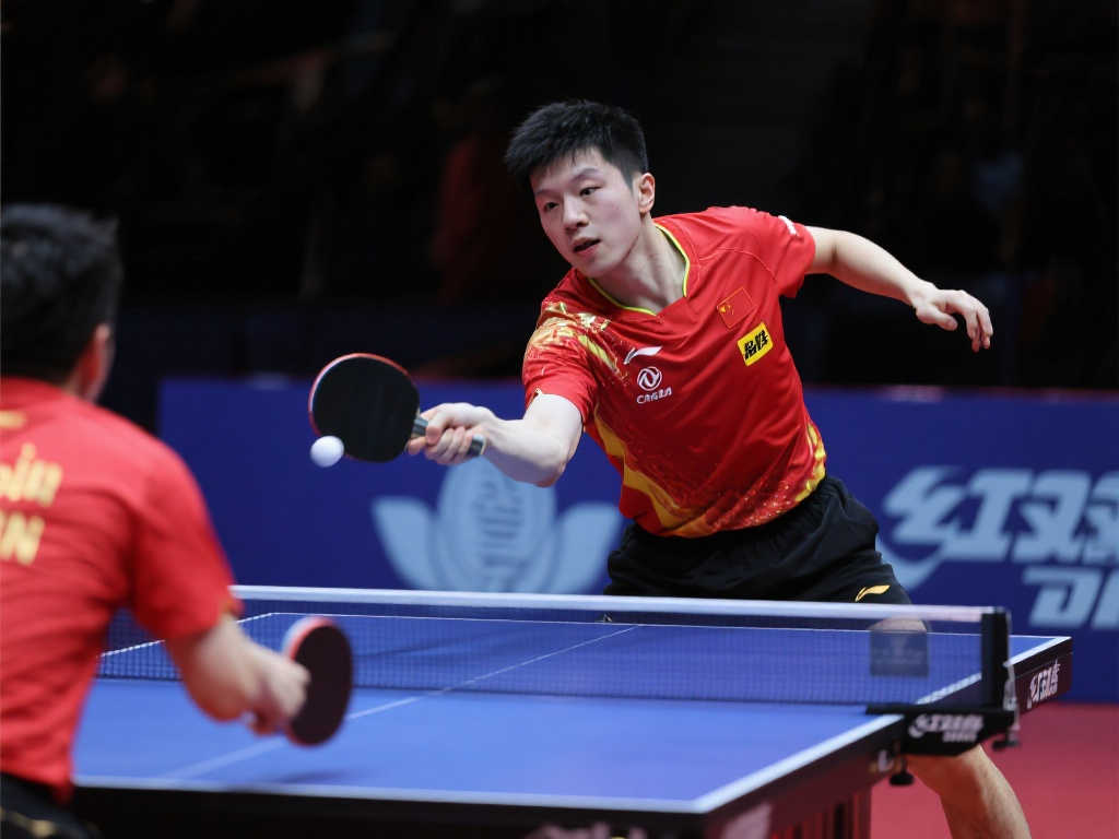 和高水平的 和高水平的